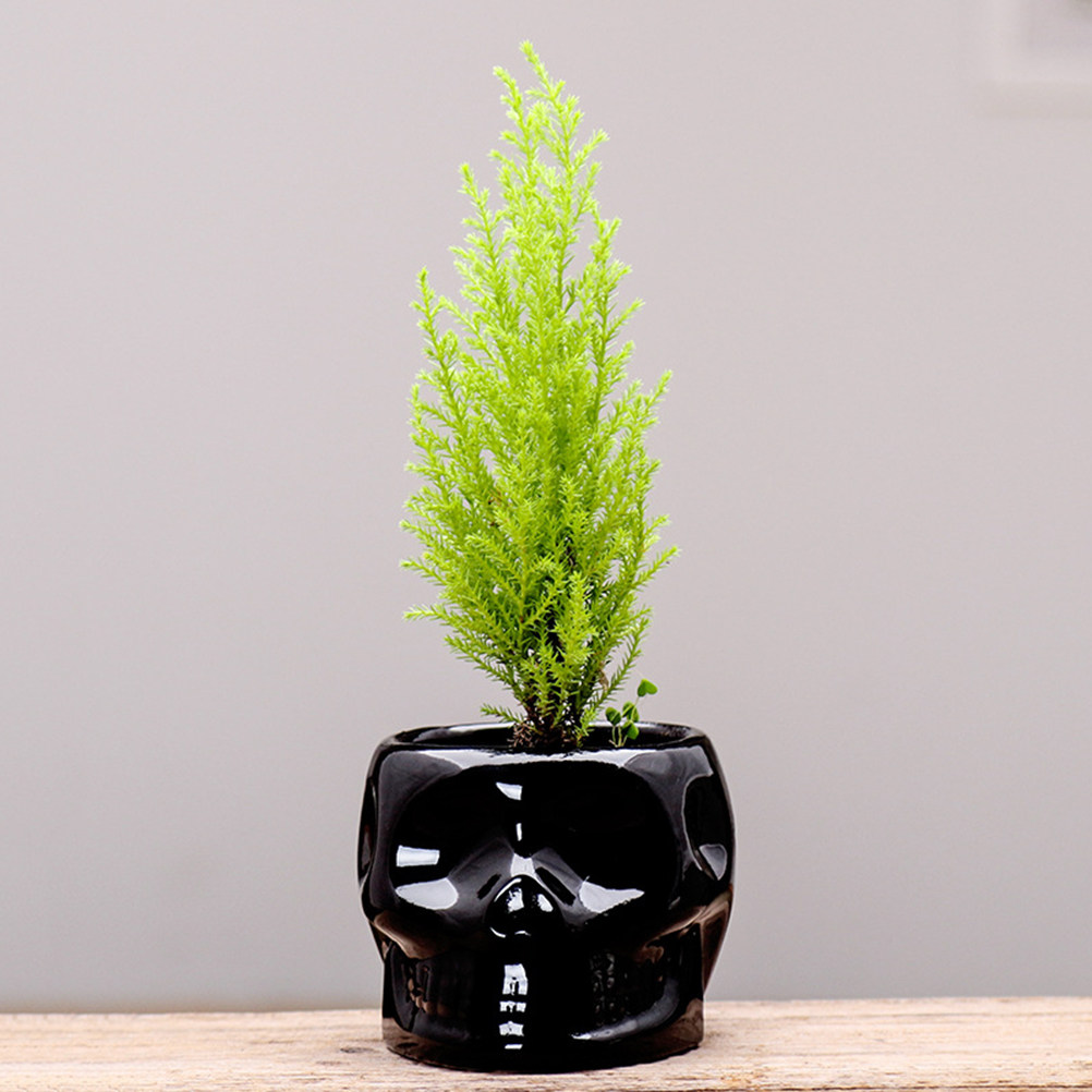 Plant Pot Small Desk - 1Pcs Ceramic Flower Pot Skull Design