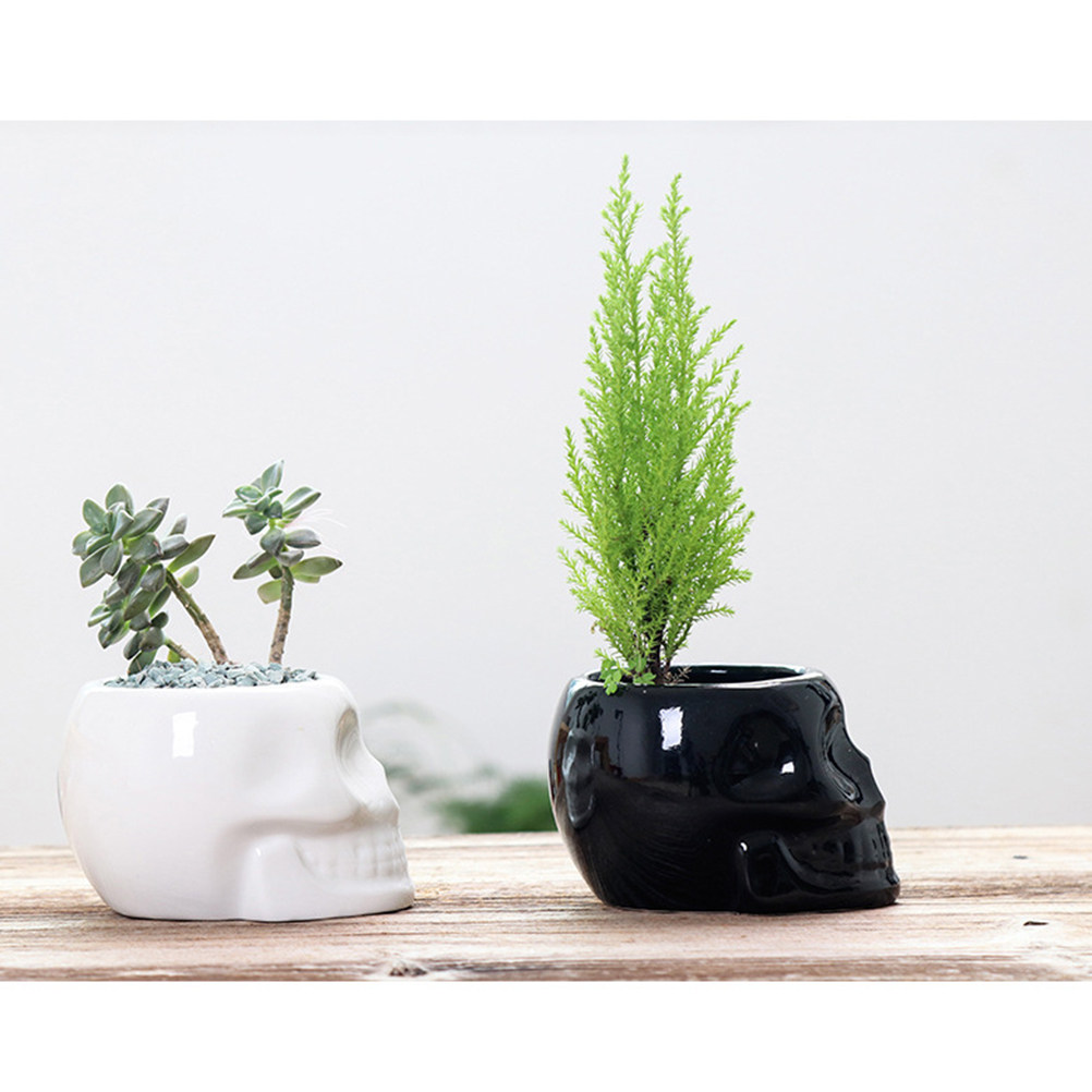 1Pcs Ceramic Flower Pot Skull  - огляд і ціна Plant Pot Small Desk