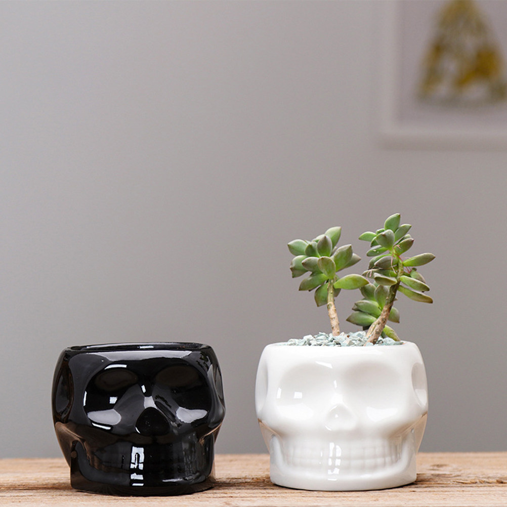 1Pcs Ceramic Flower Pot Skull  - огляд і ціна Plant Pot Small Desk