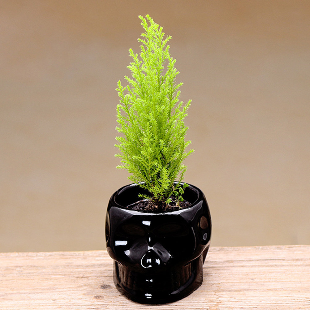 1Pcs Ceramic Flower Pot Skull  - огляд і ціна Plant Pot Small Desk